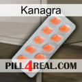 Kanagra 26